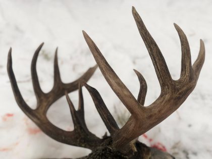 Millers-North-Outfitting-Alberta-Whitetail-Hunting-036