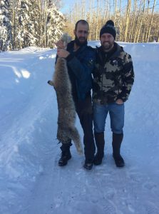 Millers-North-Outfitting-Alberta-Wolf-Predator-Hunting013